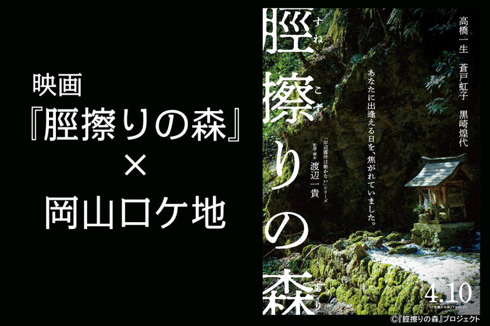 映画『脛擦りの森』×岡山ロケ地